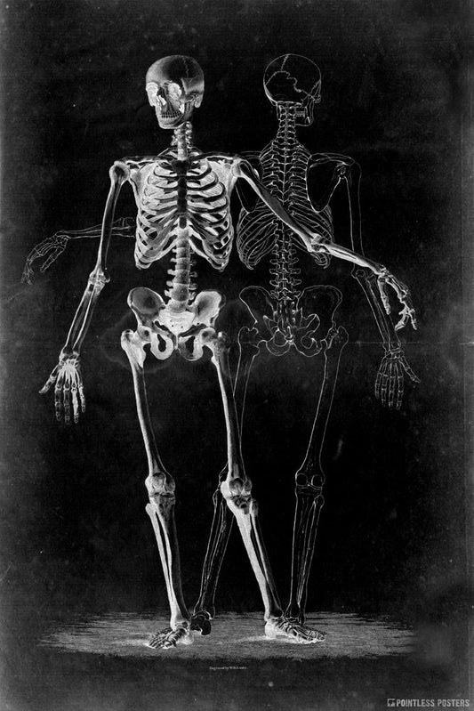 Two Skeletons On Black Gothic Poster