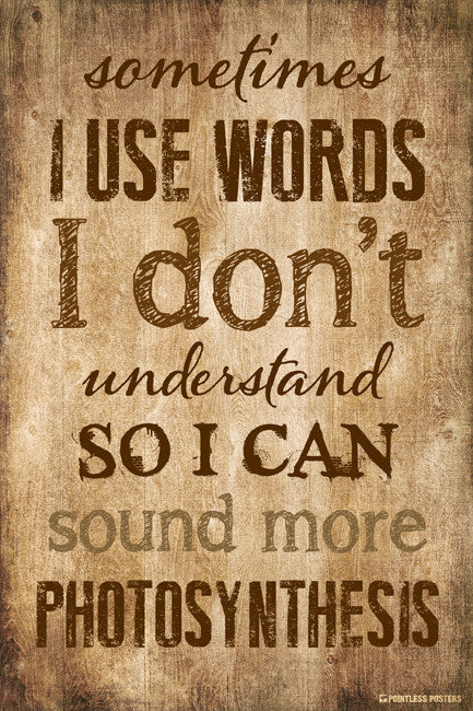 Sometimes I Use Words I Don't Understand Poster