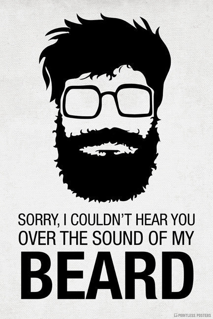 Sorry I Couldn't Hear You Over The Sound Of My Beard Poster