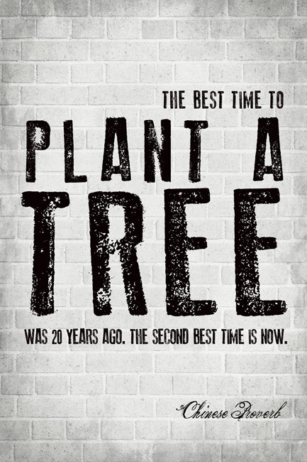 The Best Time To Plant A Tree (Chinese Proverb), motivational poster