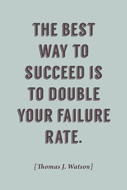 The Best Way To Succeed (Thomas J. Watson Quote), motivational poster