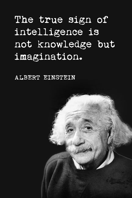 The True Sign Of Intelligence (Albert Einstein Quote), motivational classroom poster