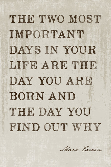 The Two Most Important Days In Your Life (Mark Twain Quote), motivational poster