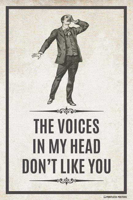The Voices In My Head Don't Like You Poster