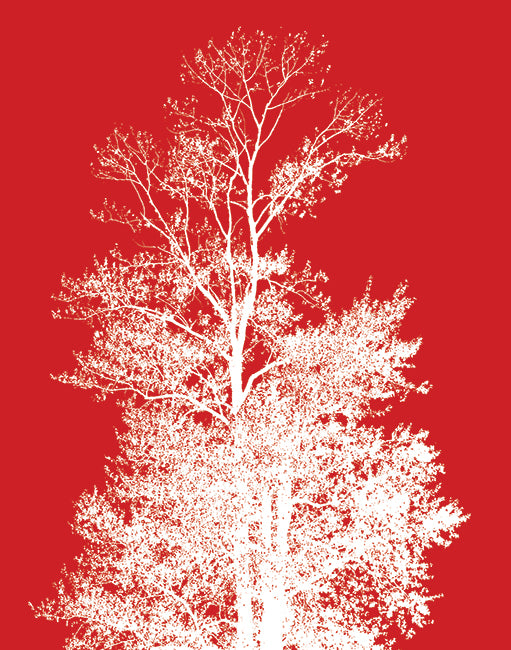 Tree Silhouette (Red), art print