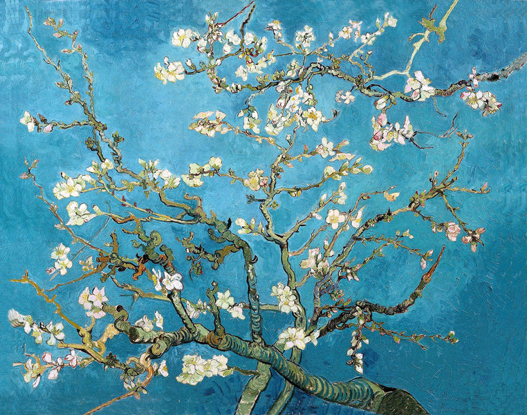 Almond Branches in Bloom (San Remy) by Vincent Van Gogh, removable wall decal