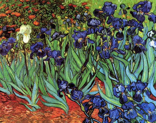 Irises by Vincent Van Gogh, removable wall decal