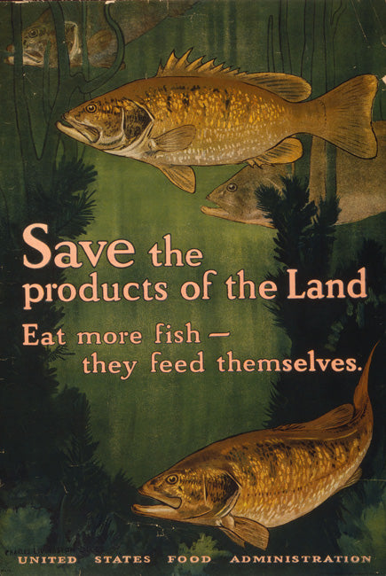 Eat More Fish Vintage Poster, art print