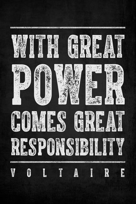With Great Power Comes Great Responsibility (Voltaire Quote), motivational poster print