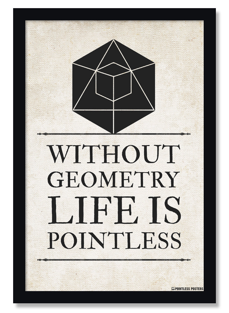 Without Geometry Life Is Pointless Math Poster