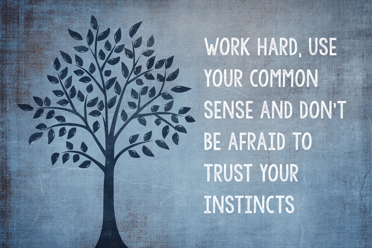 Work Hard Use Your Common Sense And Don't Be Afraid To Trust Your Instincts, motivational classroom poster