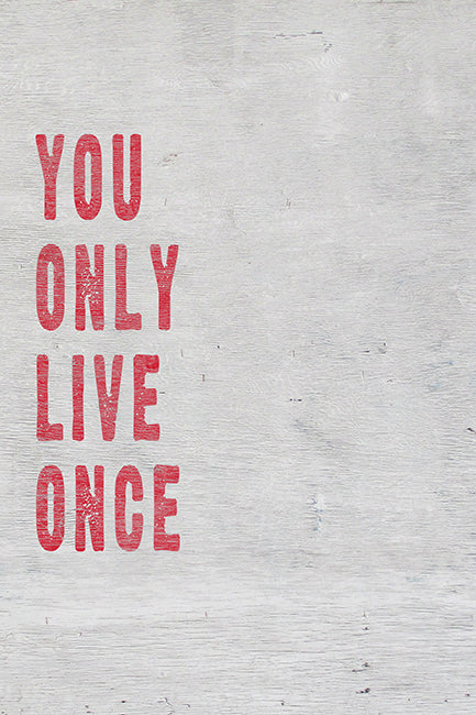 You Only Live Once (YOLO), motivational poster